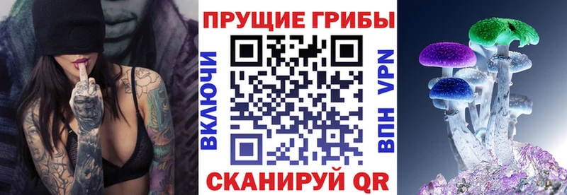 закладки Холм Галлюциногенные грибы прущие грибы